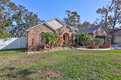 A home in VALRICO