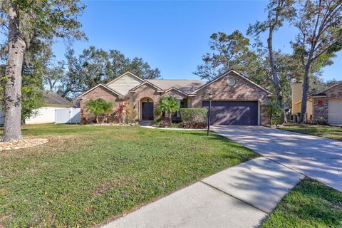 A home in VALRICO