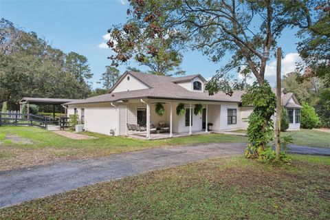 Tiny photo for 22301 Coronado Somerset Drive, Sorrento, FL 32776 (MLS # G5105316)