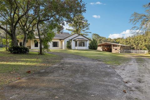 Tiny photo for 22301 Coronado Somerset Drive, Sorrento, FL 32776 (MLS # G5105316)