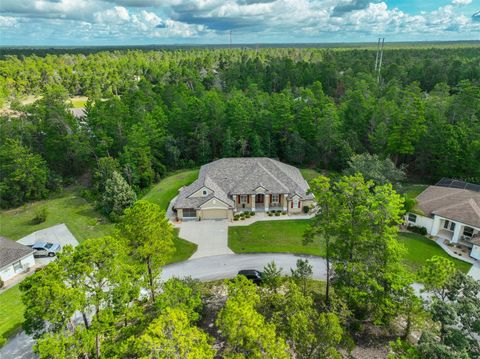 11 GRANDIFLORAS COURT HOMOSASSA FL 34446