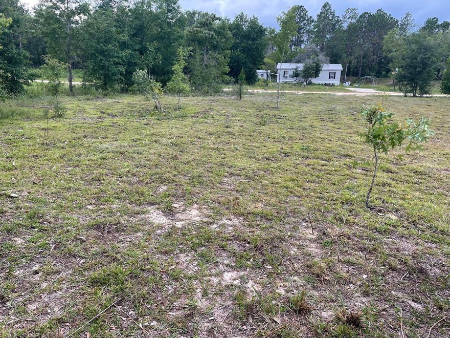 What a beautiful opportunity to own 1 acre of completely cleared, high, and dry land with your survey done, on a corner lot. Quiet and peaceful, welcome to charming Williston. It's a great place to retire or to set up that weekend getaway. This beautiful lot in Williston Highlands Unit 12, with easy access to Ocala and Gainesville, is high, dry, and ready to build! No HOA or time limit to build. New custom homes are currently being built in the area, but mobile homes are also allowed. Easy access to Goethe State Forest for horseback riding if you enjoy riding, and just minutes from the Williston Airport. Also 30-45 minutes from the Gulf of Mexico, or fish the beautiful, natural Waccasassa River, or head to Dunnellon to enjoy the clear, cool waters of the Rainbow River, where snorkeling, swimming, fishing, and kayaking are popular. Great location near the best spots on Florida's Nature Coast. Whether you're dreaming of a cozy cabin or a modern retreat, this is your chance to make your vision a reality.