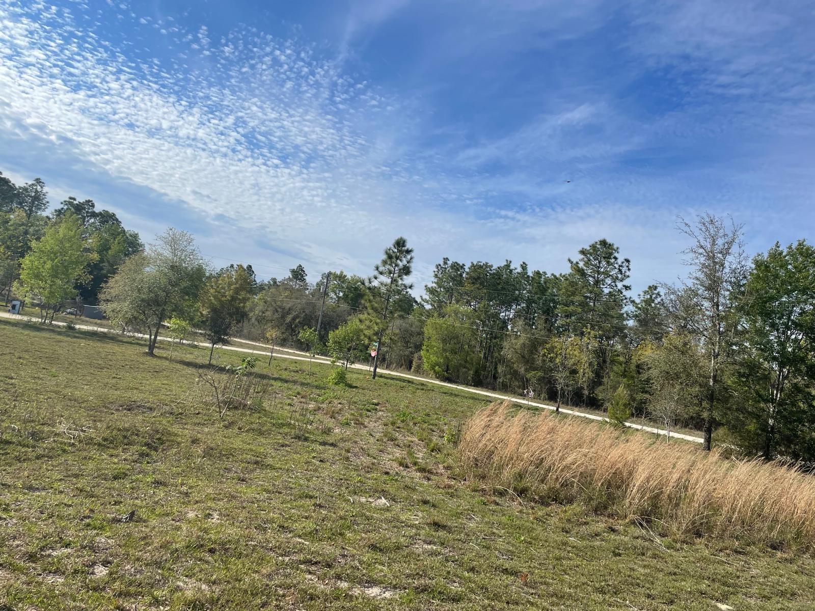 WILLISTON HLNDS - Land