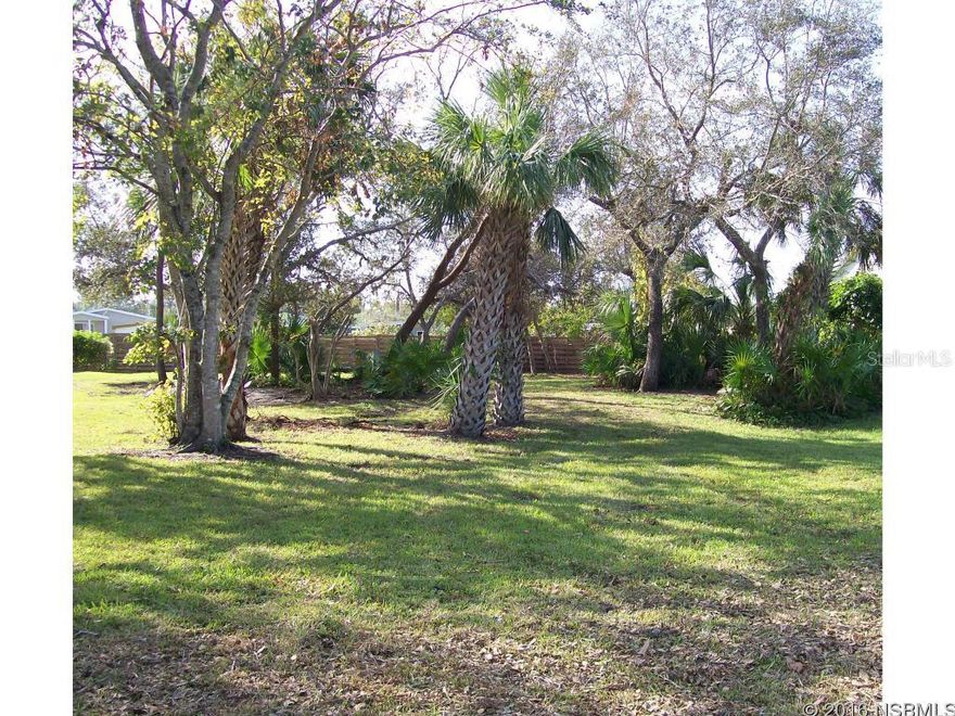 Beautiful 75 x135 cleared building lot in desirable community.  Zoned R2, this is a conforming lot according to the City of NSB Building Department and the setbacks for building reference are 30 ft on the front and 7.5 fee on the sides and back.  Fantastic location--near 2 golf courses, dining, shopping, and just minutes to beachside.  Build your dream home here! ;Water: Available at Site