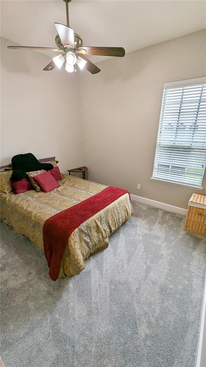 PRESERVE AT ASTOR FARMS - Residential