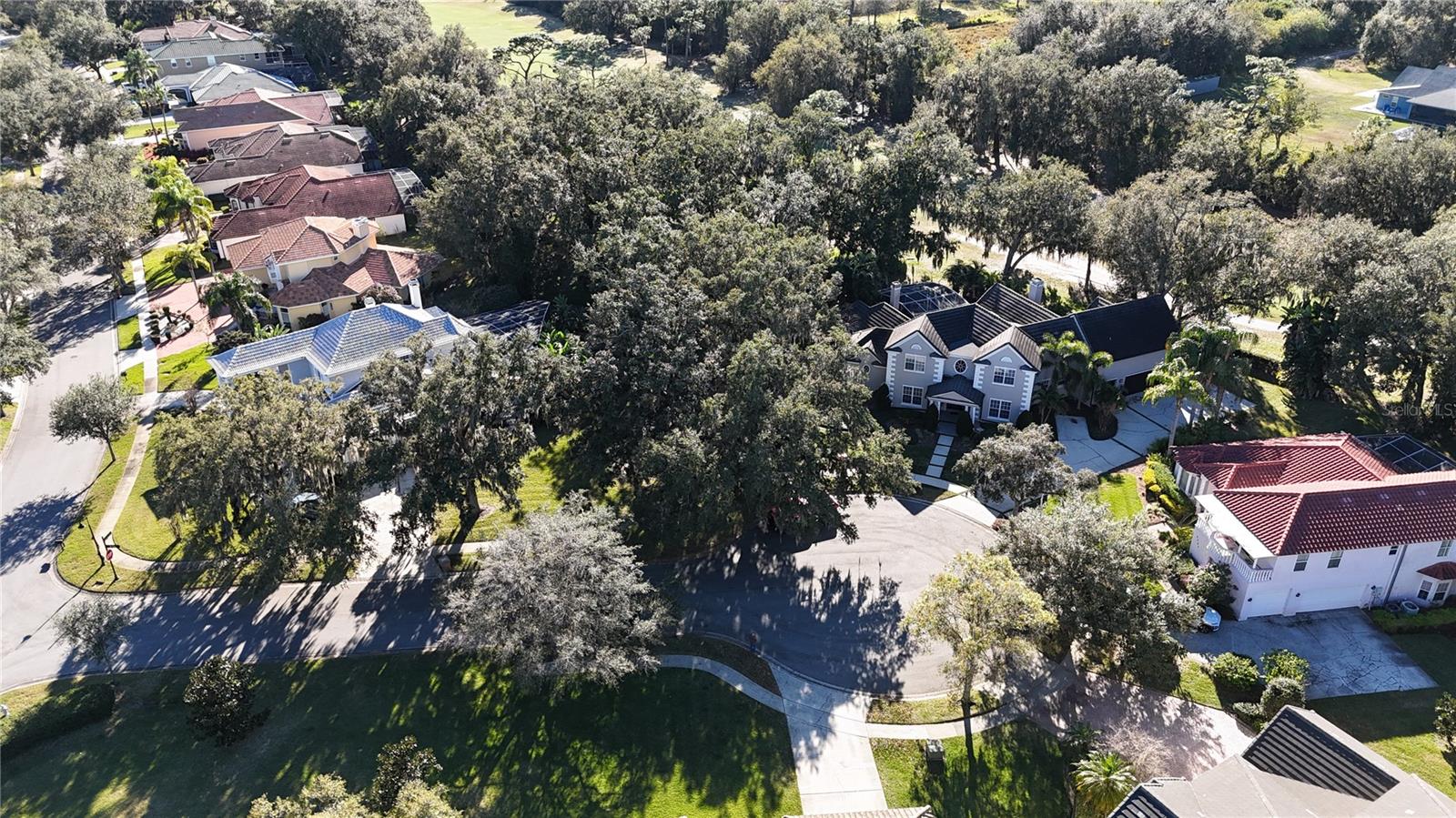 KISSIMMEE BAY - Land