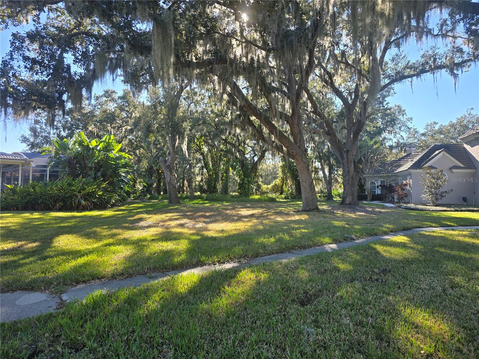 KISSIMMEE BAY - Land