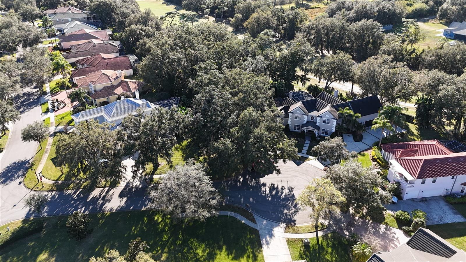 KISSIMMEE BAY - Land