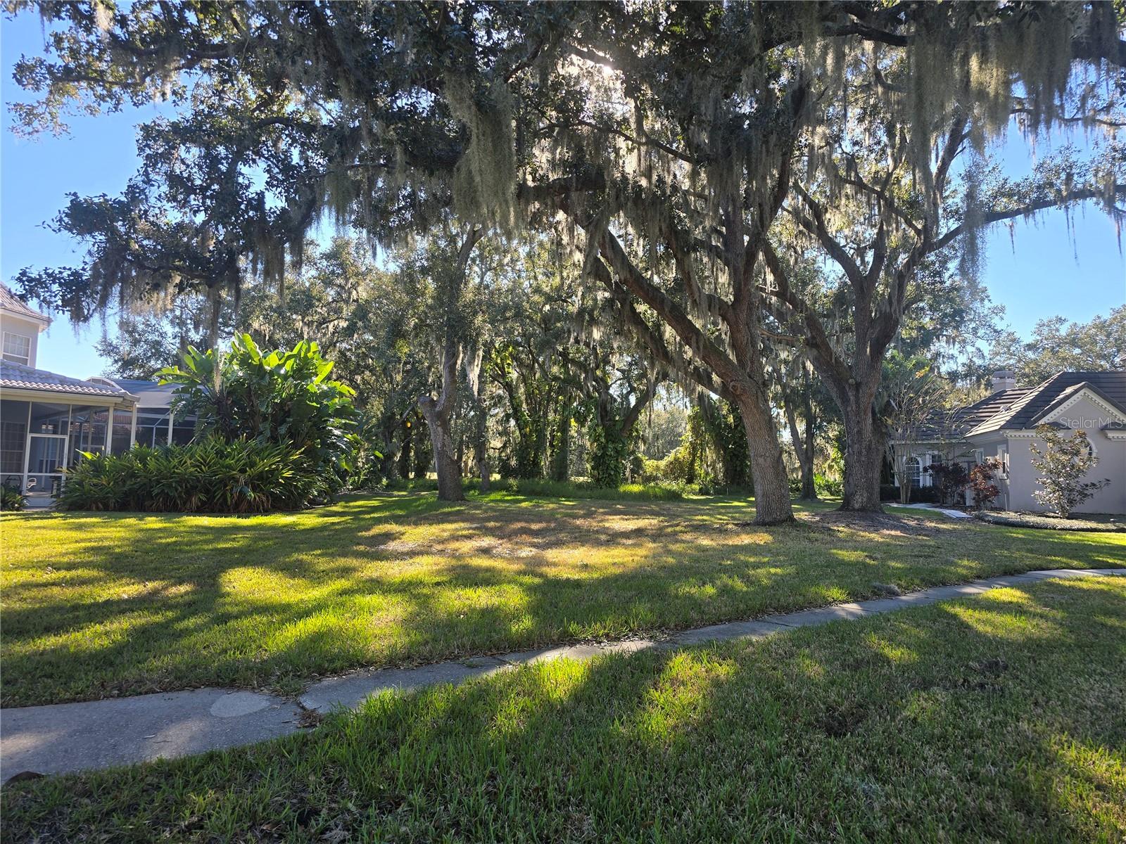 KISSIMMEE BAY - Land