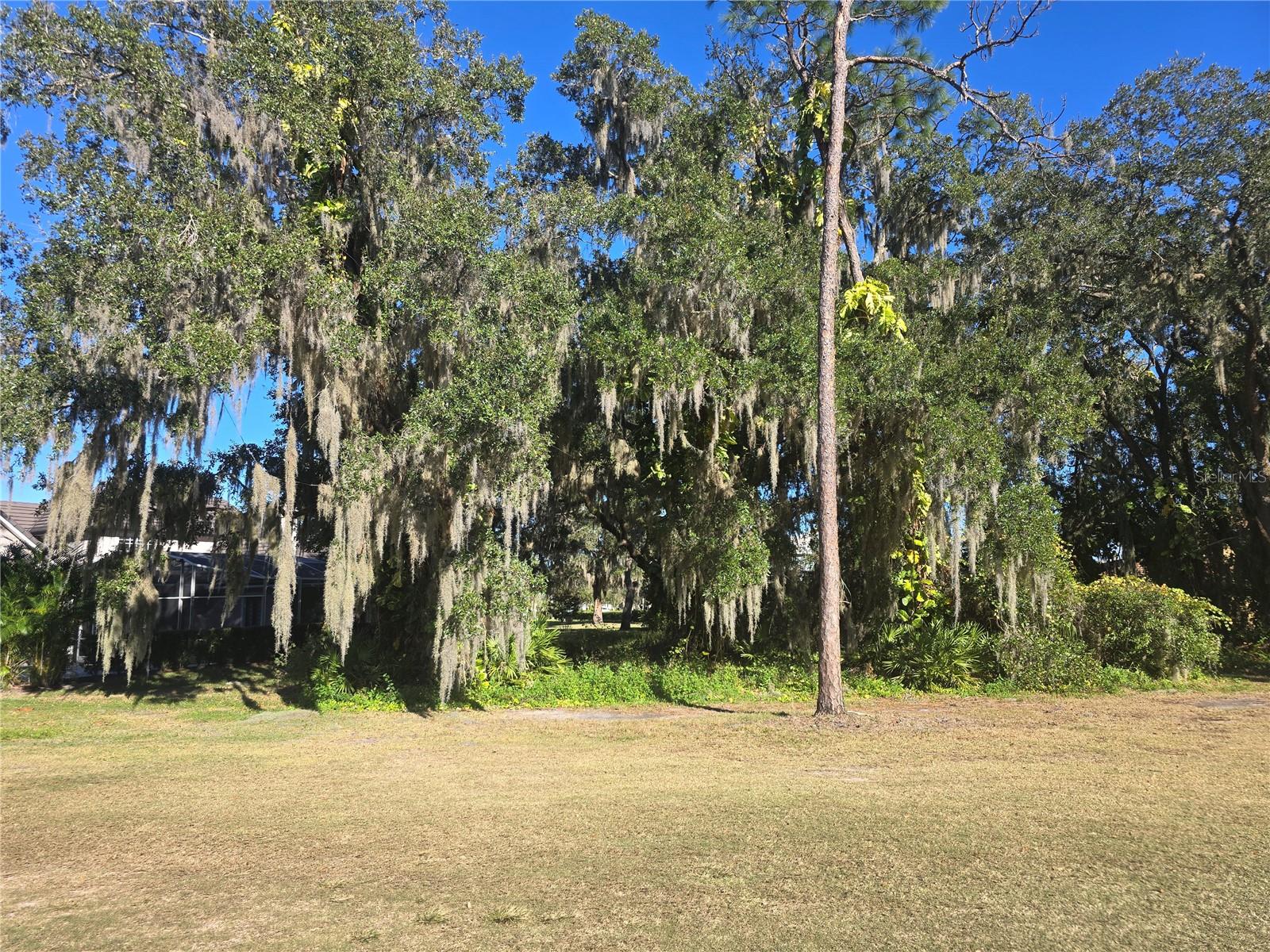 KISSIMMEE BAY - Land