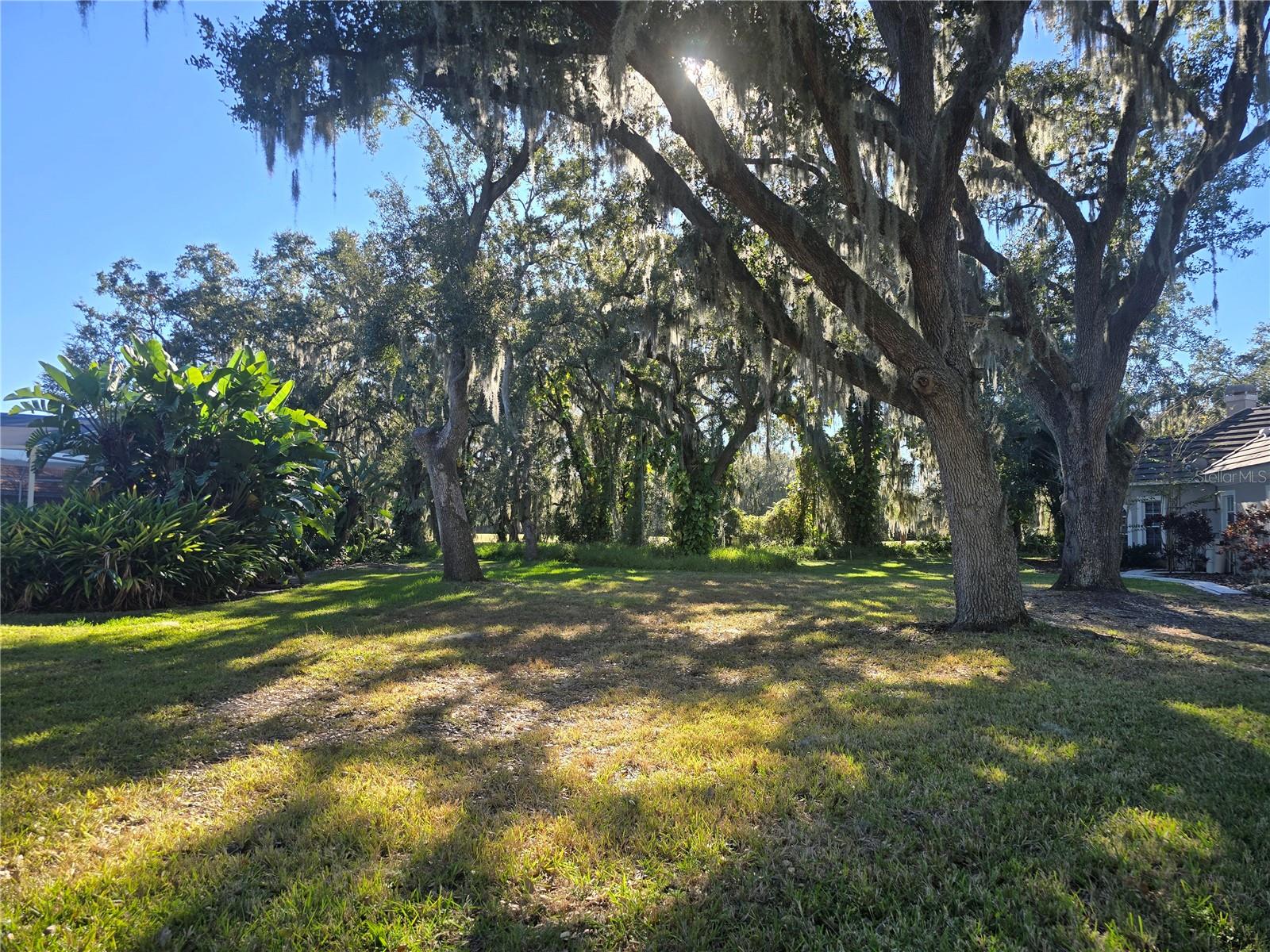 KISSIMMEE BAY - Land