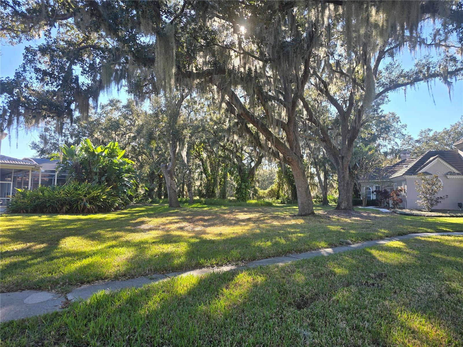 KISSIMMEE BAY - Land