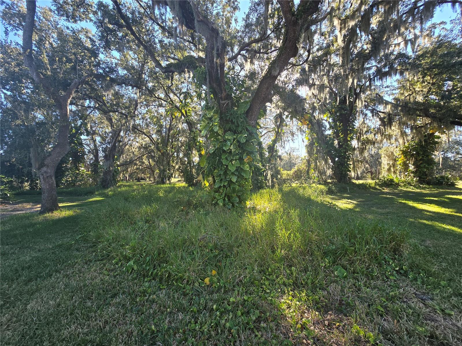 KISSIMMEE BAY - Land