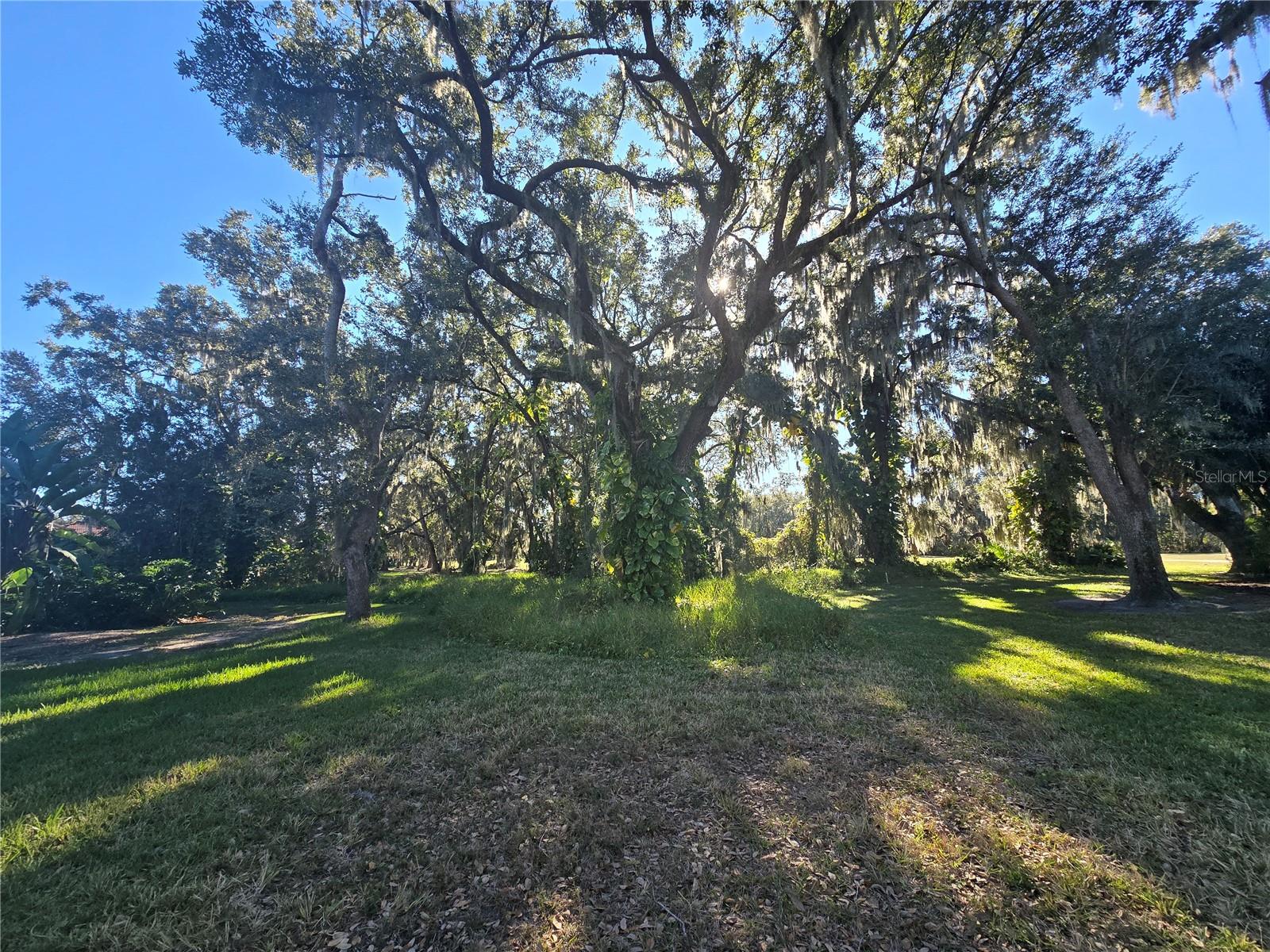 KISSIMMEE BAY - Land