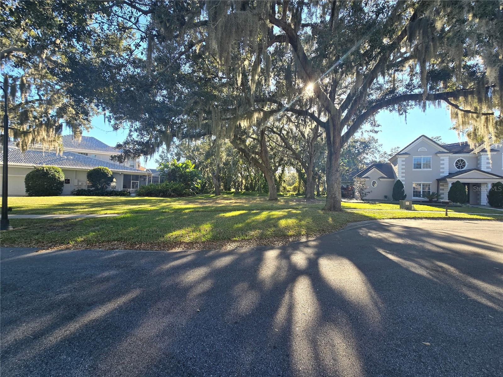 KISSIMMEE BAY - Land