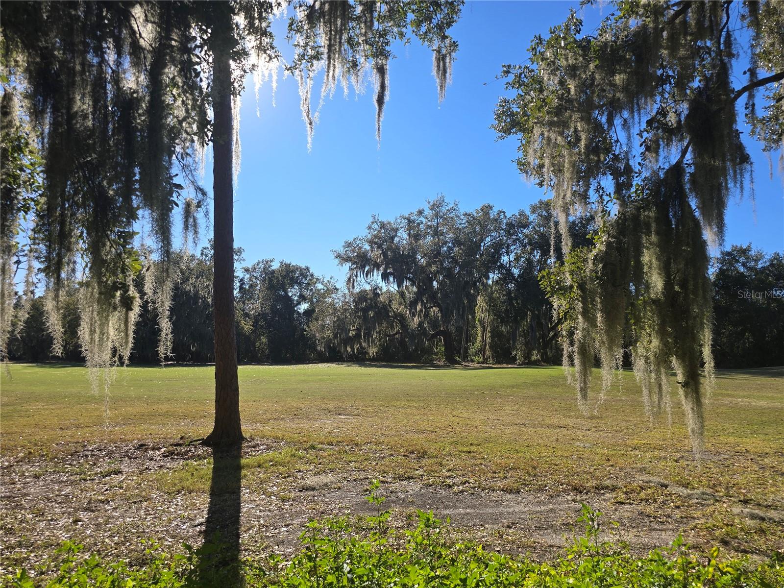 KISSIMMEE BAY - Land
