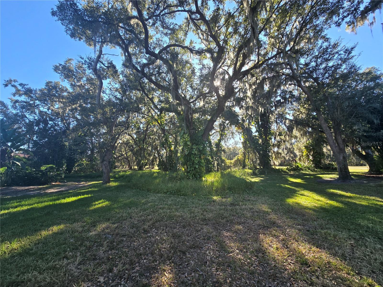 KISSIMMEE BAY - Land