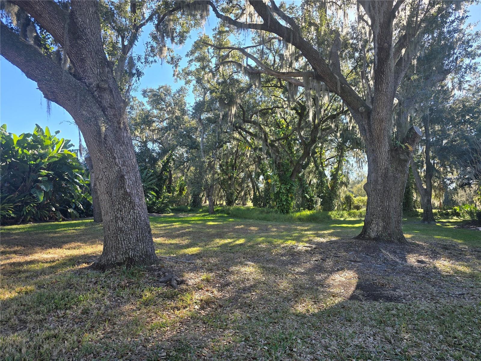 KISSIMMEE BAY - Land