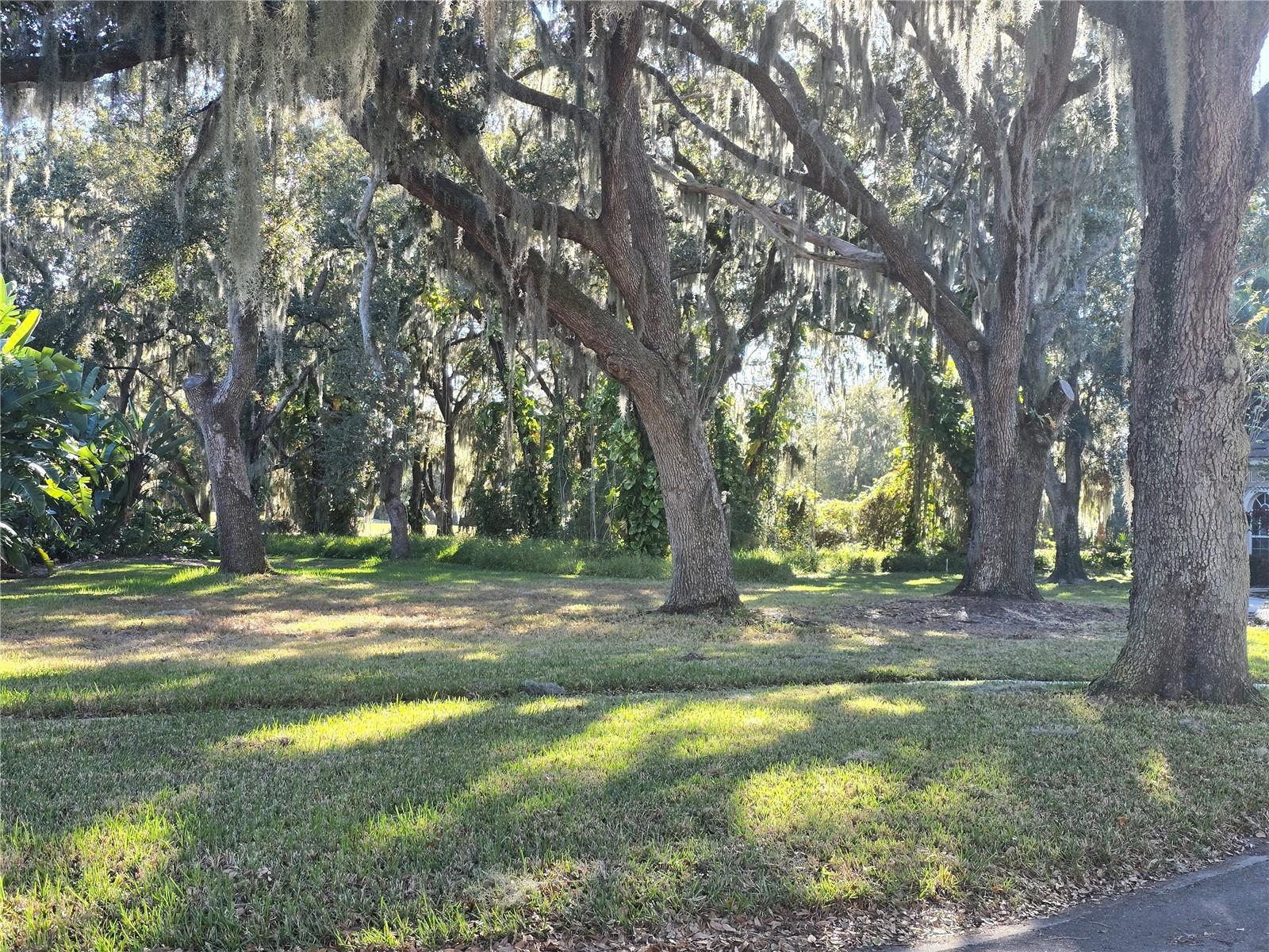 KISSIMMEE BAY - Land