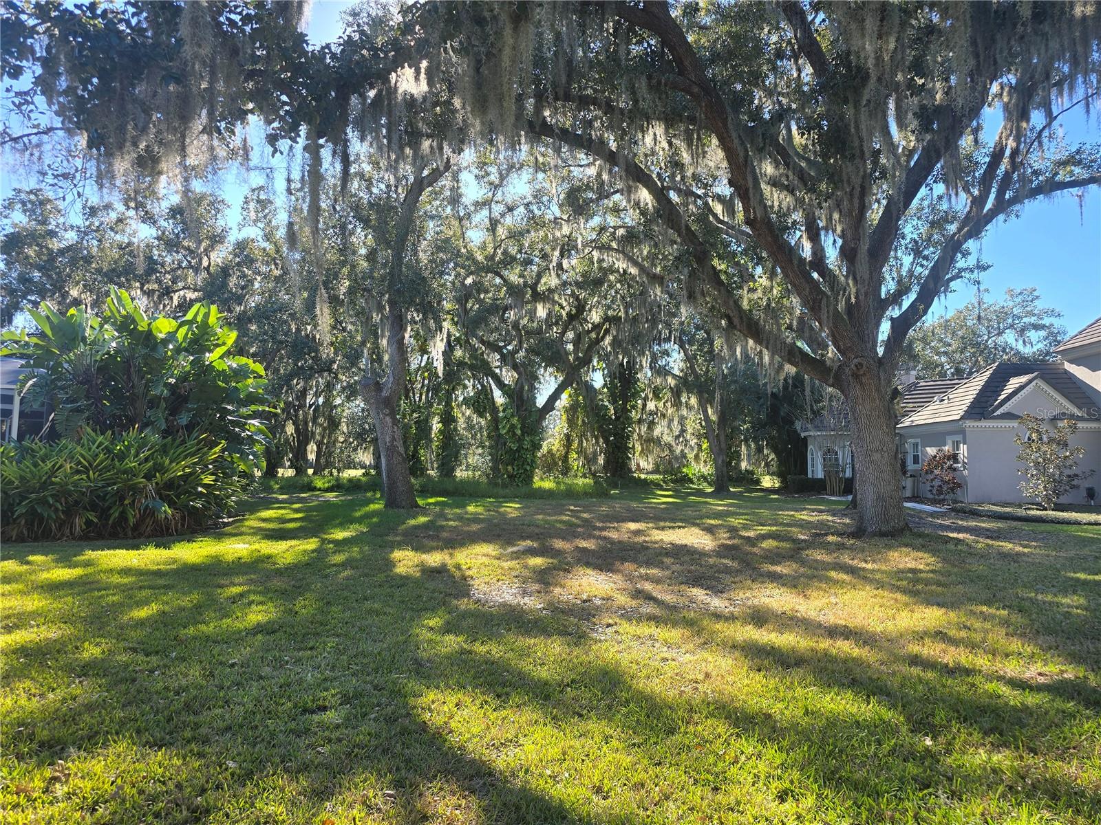 KISSIMMEE BAY - Land