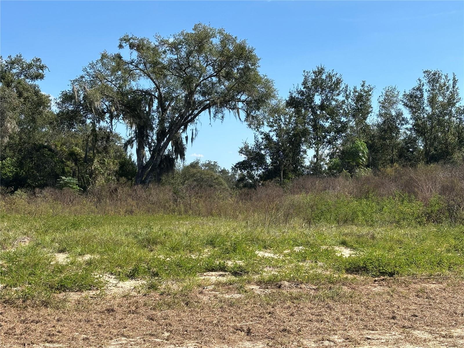 PONKAN RESERVE SOUTH - Land