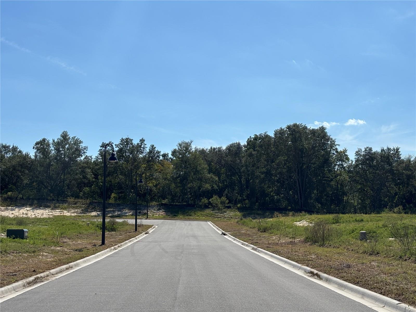 PONKAN RESERVE SOUTH - Land