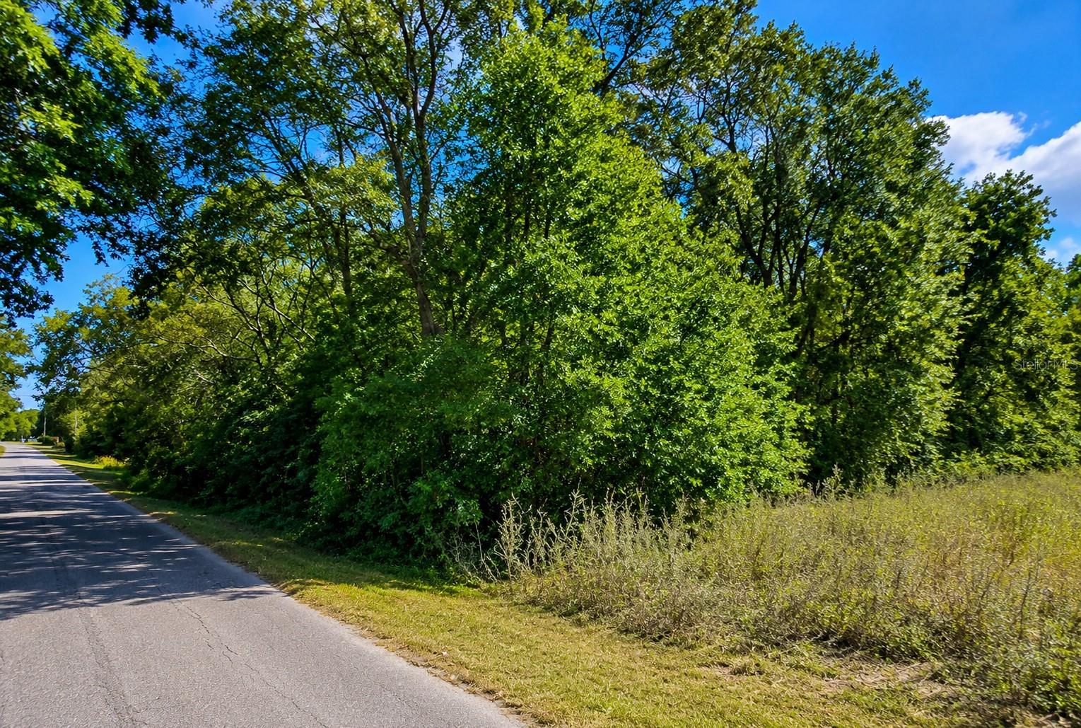 FISHER LN CT