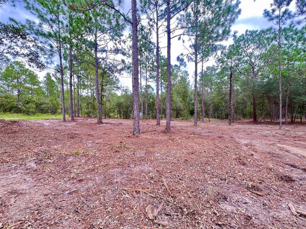Photo of 16 SW Anchor Boulevard, Dunnellon, FL 34431 (MLS # OM731514)