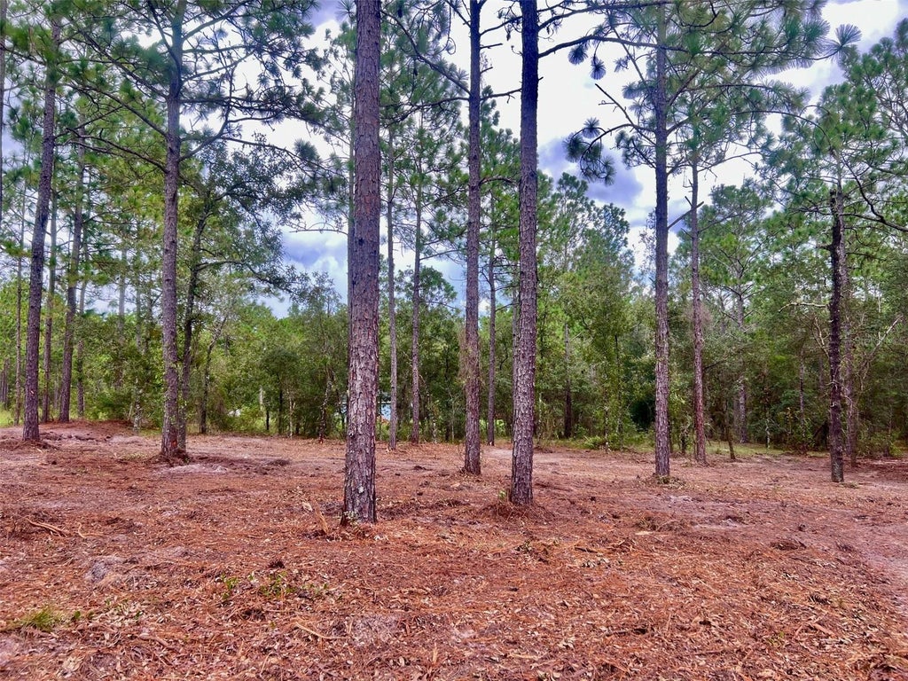 Photo of 16 SW Anchor Boulevard, Dunnellon, FL 34431 (MLS # OM731514)