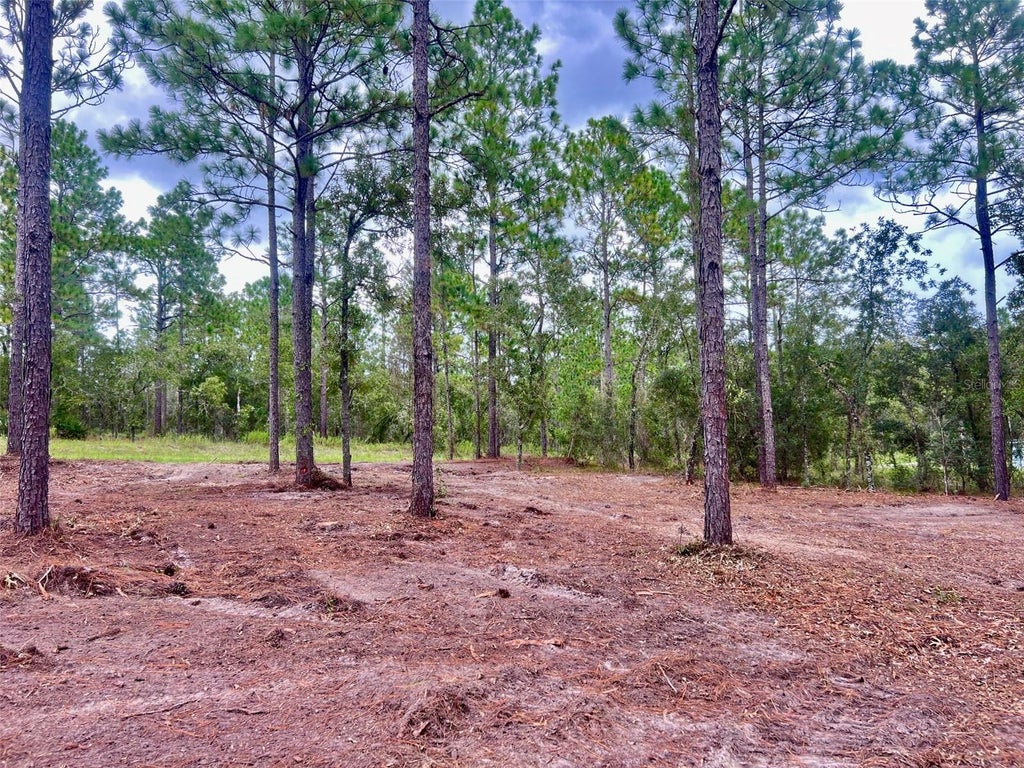 Photo of 16 SW Anchor Boulevard, Dunnellon, FL 34431 (MLS # OM731514)