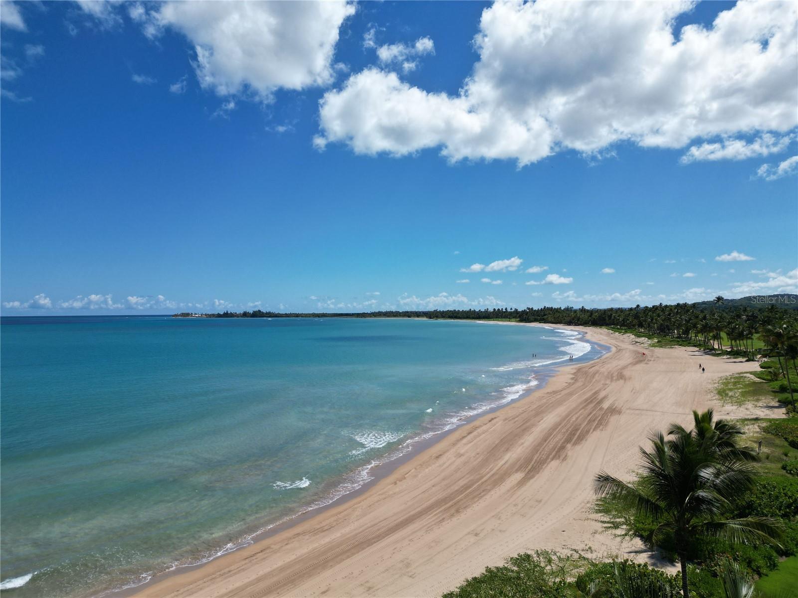 OCEAN DRIVE BAHIA BEACH - Residential