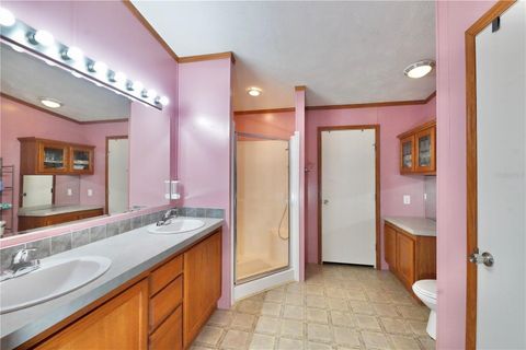 Tiny photo for 2482 S Wakulla Point, Homosassa, FL 34448 (MLS # TB8513489)