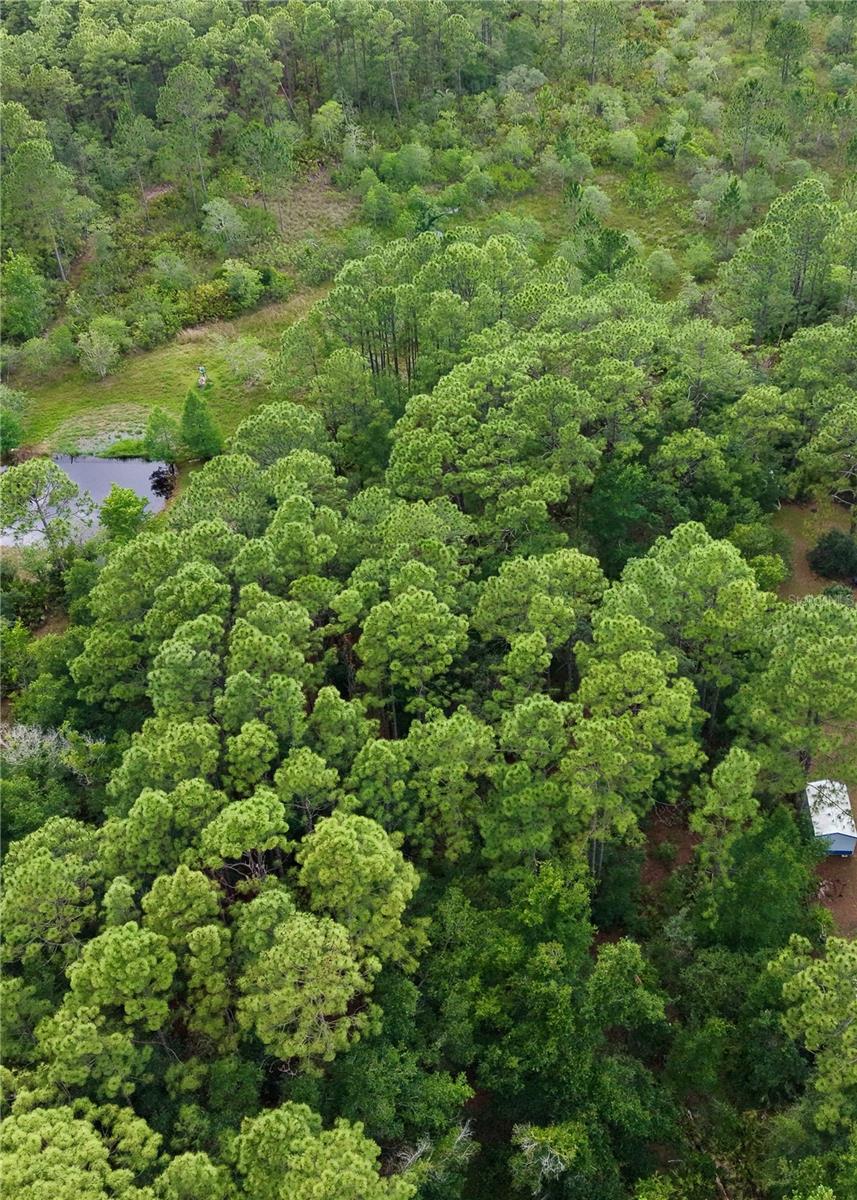 BERKSHIRE ACRES ACCEPTED UNREC SUB - Residential