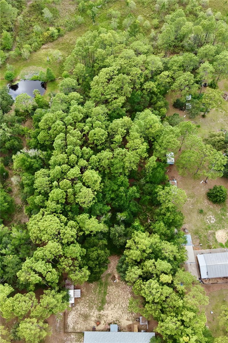 BERKSHIRE ACRES ACCEPTED UNREC SUB - Residential