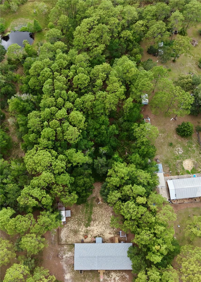 BERKSHIRE ACRES ACCEPTED UNREC SUB - Residential