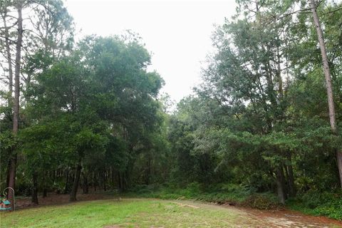 Tiny photo for 2482 S Wakulla Point, Homosassa, FL 34448 (MLS # TB8513489)
