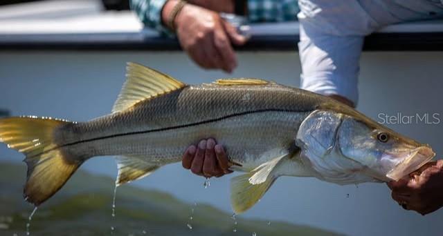 HERNANDO BEACH 14 - Land