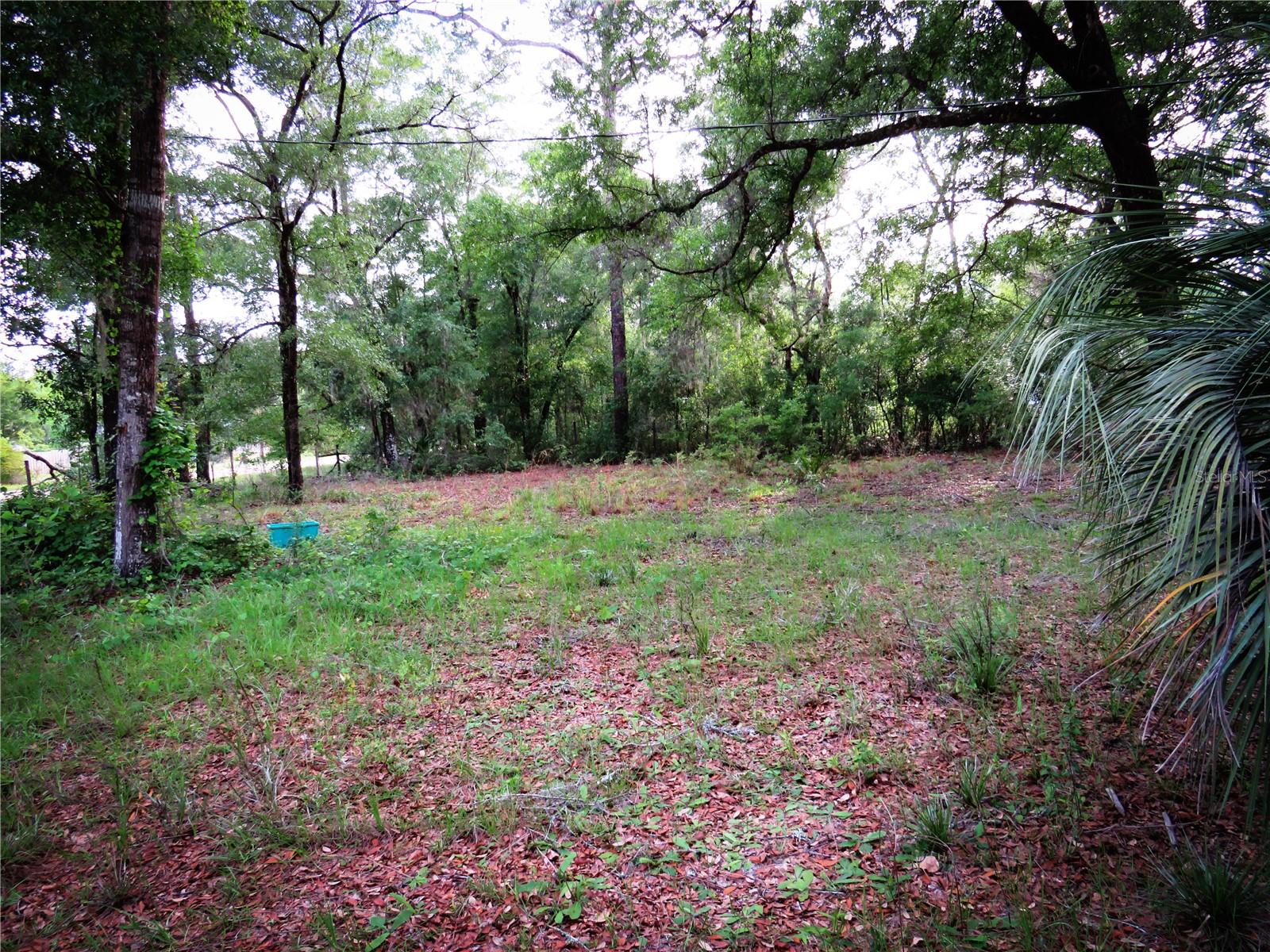 ASHLEY LAKE PLANTATION - Residential