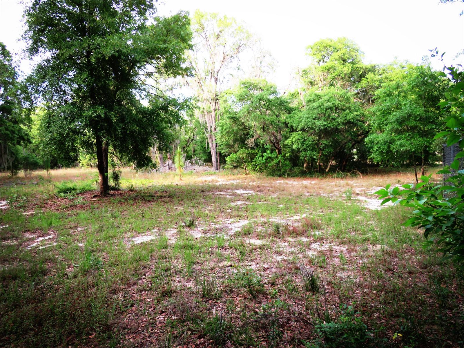 ASHLEY LAKE PLANTATION - Residential