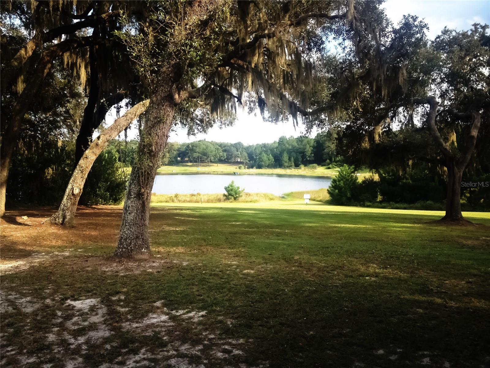 ASHLEY LAKE PLANTATION - Residential