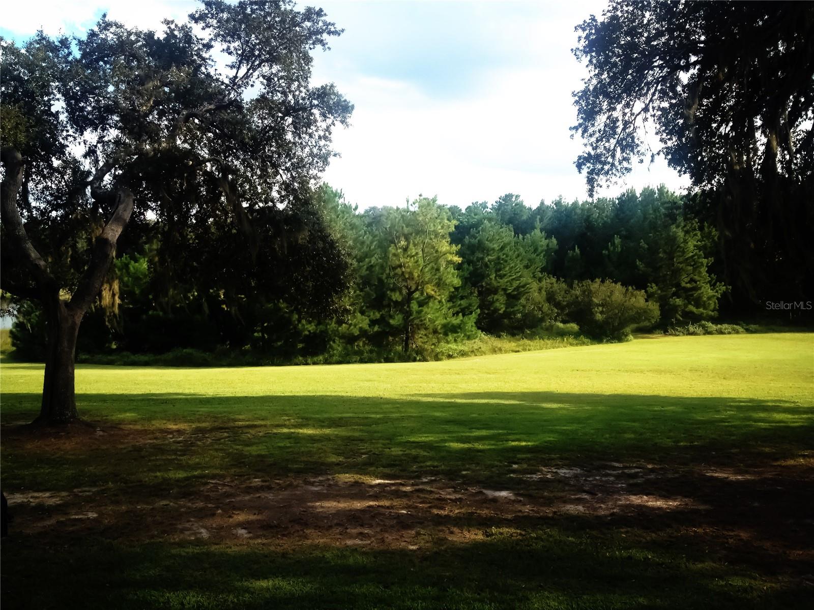 ASHLEY LAKE PLANTATION - Residential