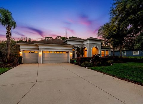 Photo of 19420 Autumn Chase Court, Land O Lakes, FL 34638 (MLS # TB8486776)