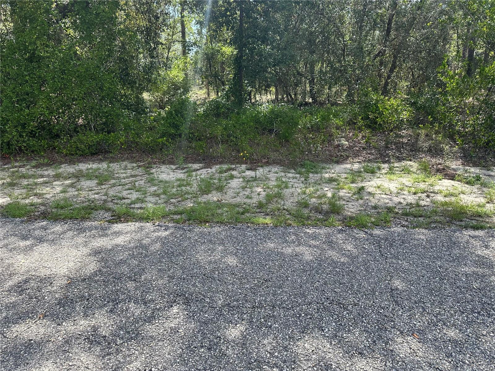 Build Your Dream Home in Rainbow Lakes Estate!
This beautiful vacant residential buildable lot is located in the peaceful and scenic community of Rainbow Lakes Estate. Offering generous space and natural privacy, this property is great for building your dream home surrounded by the tranquility of nature. Enjoy the quiet charm of country living while still being close to nearby amenities, parks, and lakes. Don’t miss this opportunity to own your own piece of paradise in one of Florida’s most serene settings!
