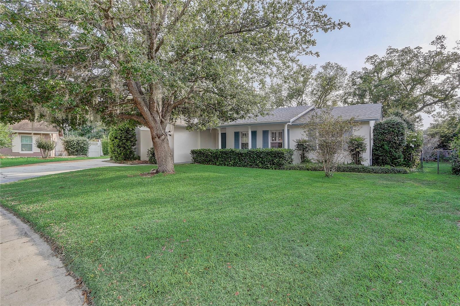 3100 LAS PALMAS DRIVE