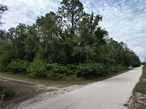 Tiny photo for Tbd SW 31st Pl, Ocala, FL 34481 (MLS # OM724534)
