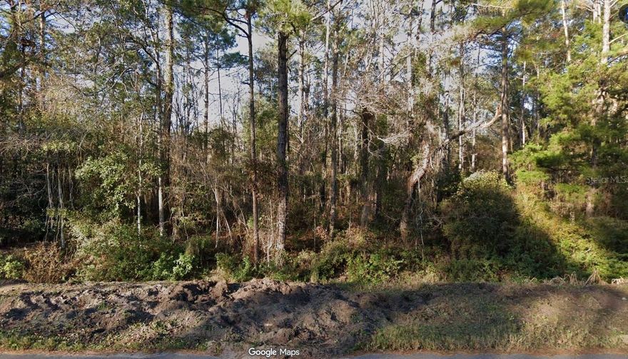 Build your dream home in the rapidly growing and highly sought-after Hastings on over an acre and with several new homes in the area. Hastings offers an abundance of parks and recreation. Only minutes away from attractions shopping and restaurants.