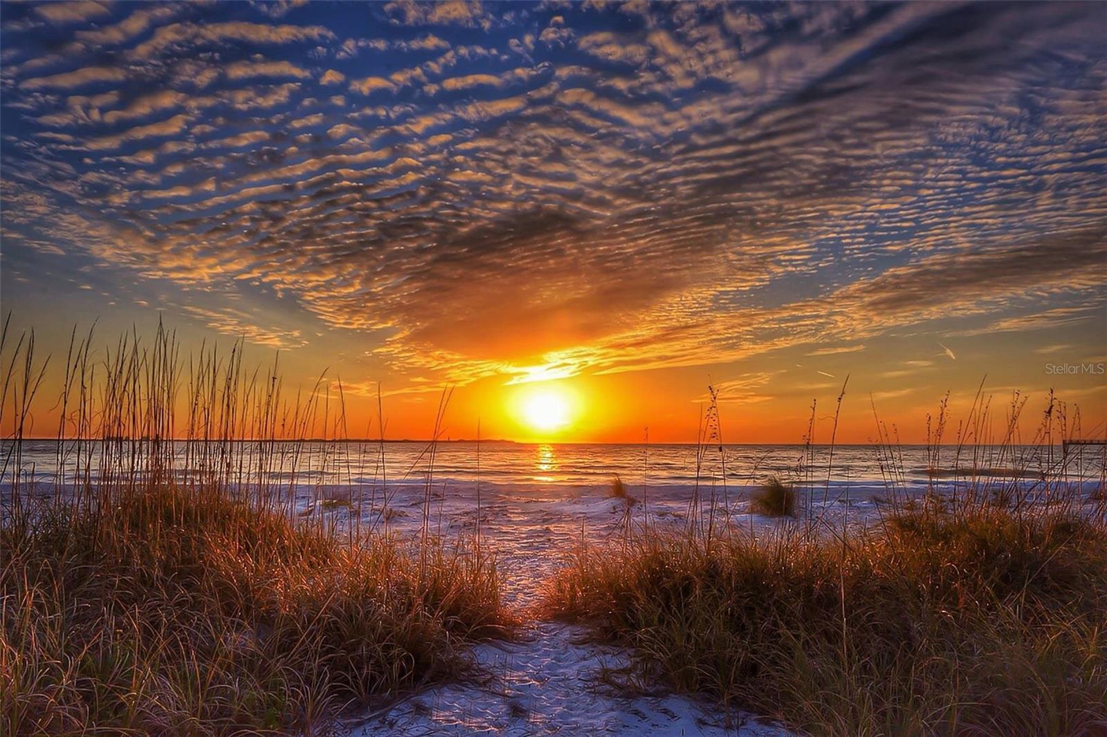 SUNSET VISTAS CONDO HOTEL ON THE GULF - Residential