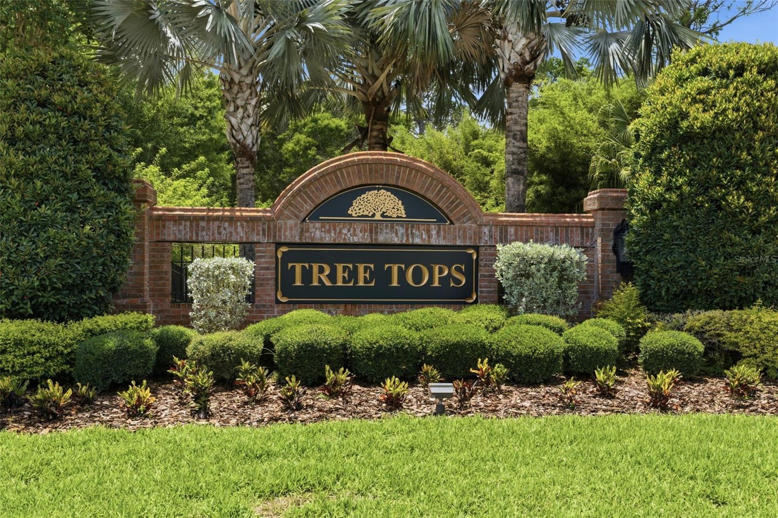 TREE TOPS NORTH PH 1 - Residential