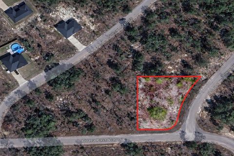 GUAVA PASS PL OCKLAWAHA FL 32179