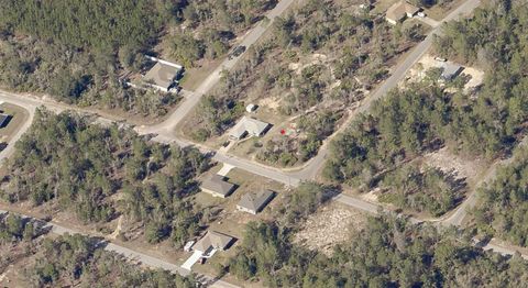 Photo of Malauka Lane, Ocklawaha, FL 32179 (MLS # D6147528)